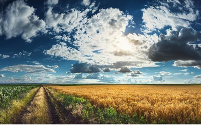 The Power of Purpose: Do Businesses Need a Higher Purpose?