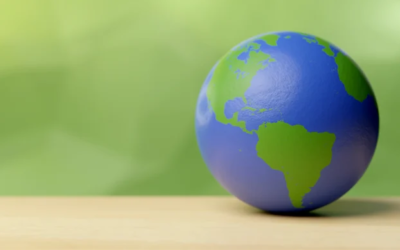 Green Trends: 3 Easy Ways To Build A More Sustainable Supply Chain