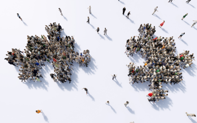 Microcultures: Why Teams in the Same Company Can Feel Worlds Apart