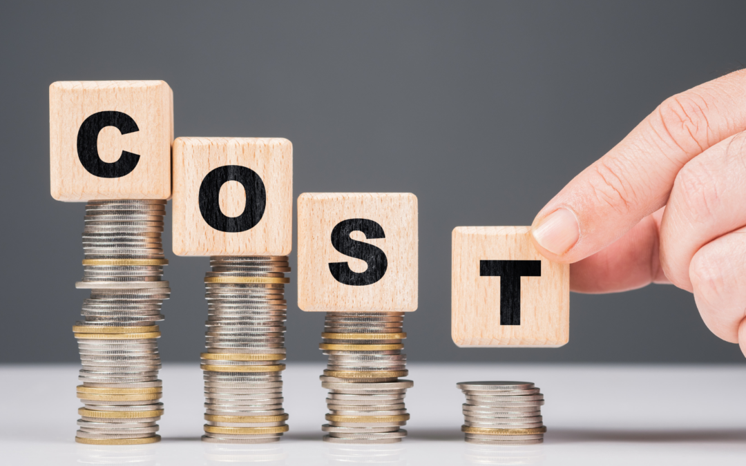 Smart Cost-Cutting Strategies for Businesses Navigating Rising Expenses 