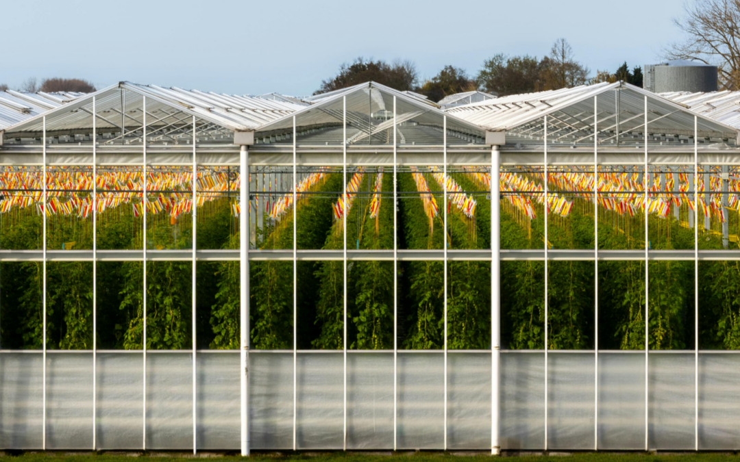 Drive Growth and Alignment One Department at a Time with StratPro – McCall Farms Case Study