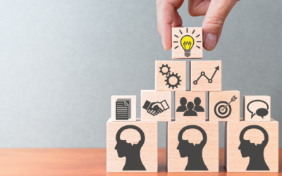 HI-MAP: Because a Skilled Management Team Matters
