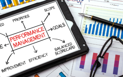 Performance Management Systems: A Guide for Small Business Owners