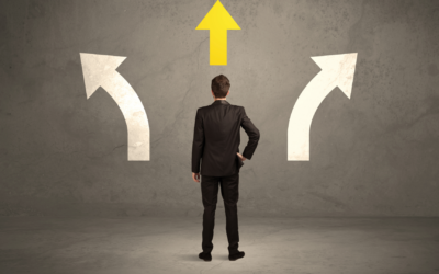 A 12 Step Approach to Making High Stakes Business Decisions